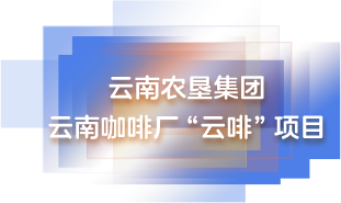 云南农垦集团 云南咖啡厂“云啡”项目