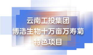 云南工投集团 博浩生物十万亩万寿菊特色项目