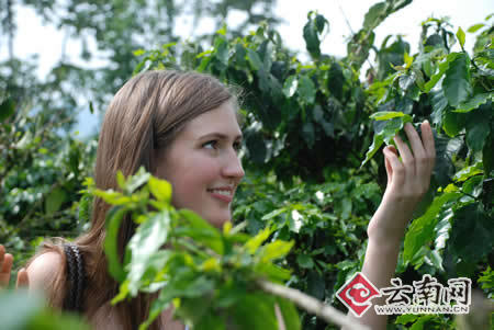瑞典女孩茉莉第一次来到中国的咖啡林