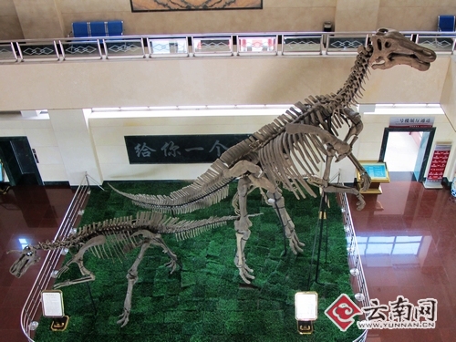 走进平邑世界最大恐龙化石博物馆 观自然奇观