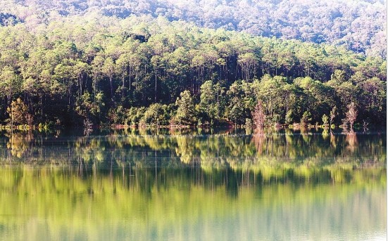 中国绿色gdp绩效评估报告_360度绩效评估图(3)