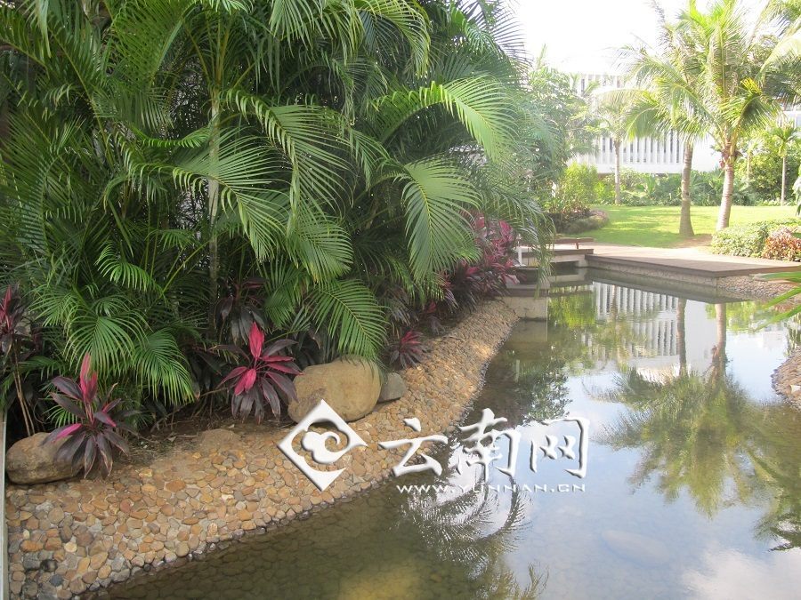 海南澄迈2020年gdp_海南澄迈地图