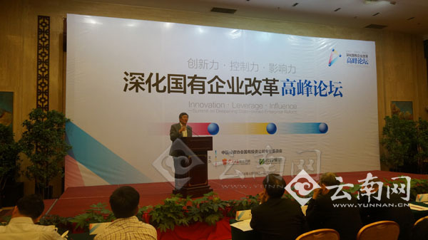 学者、企业家齐聚昆明 为深化国有企业改革把