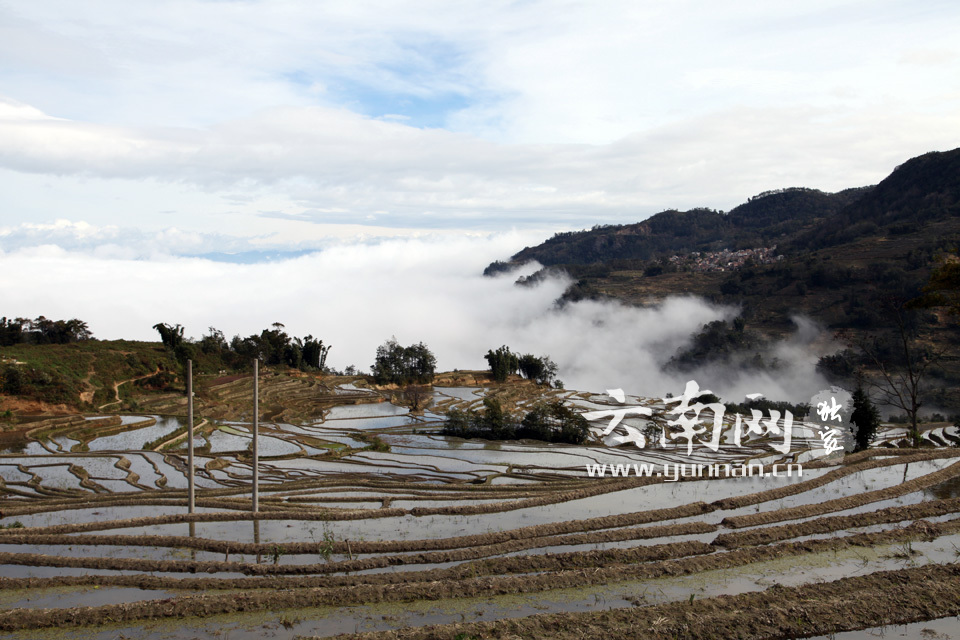 红河州有多少人口哪个县最大_红河州金平县图片(2)