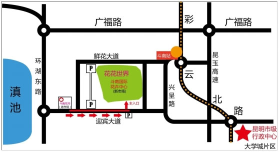 昆明斗南花市明天搬迁 买花要去花花世界