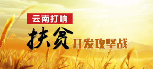 上海某年咖啡_某县2018年农民人均(3)