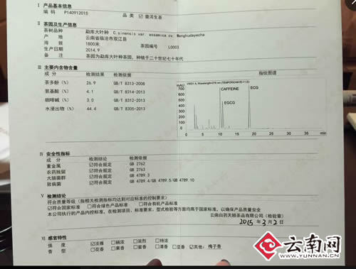 【云系列·品牌故事】云南白药跨界茶业 带领