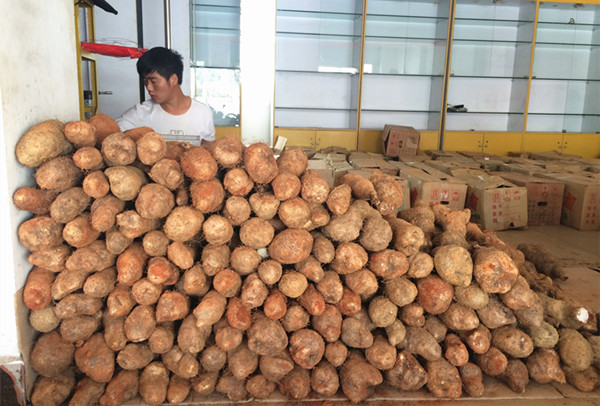 云南的山药 d8cb8a0c6f5b1857aeb913.jpg