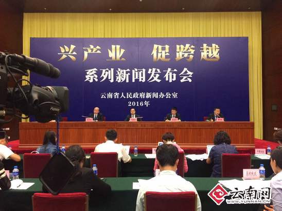  到2020年云南信息经济总体规模将突破5000亿