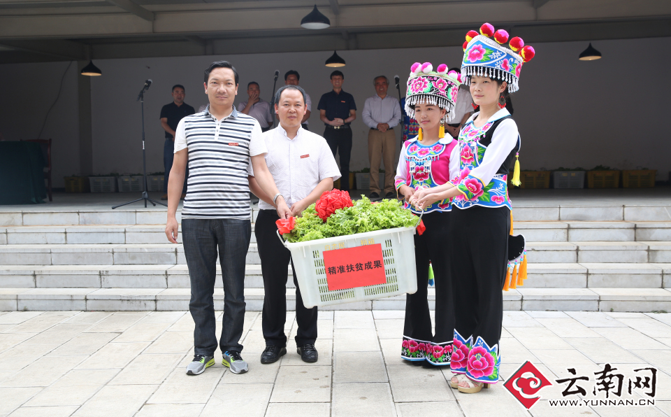 云南农业大学精准扶贫落到实处：首批生态蔬菜进校园