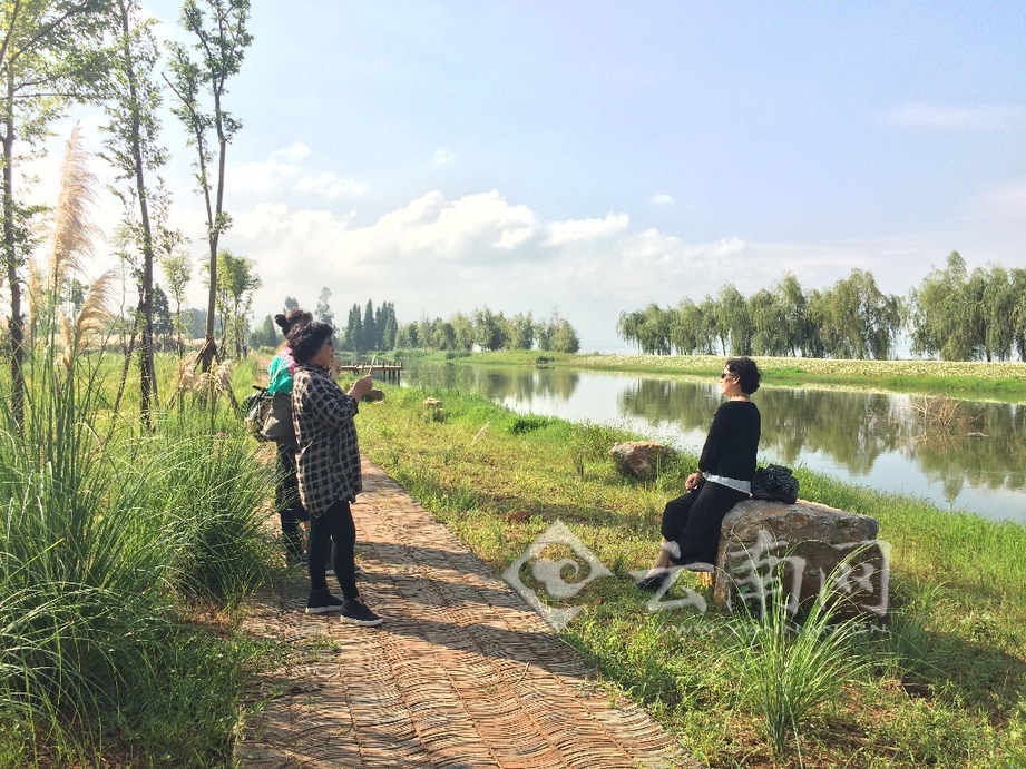 “最美湿地”摄影大赛启动 展示你眼中的湿地美