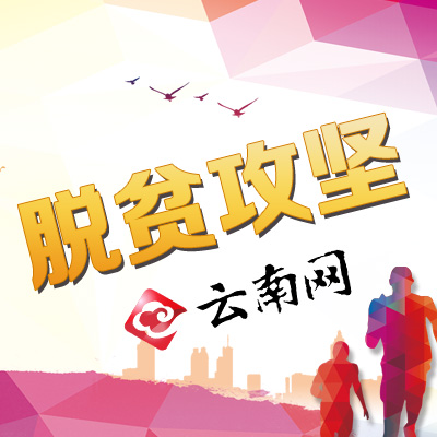 厦门大学嘉庚学院学费_未确认进行式_学费收入确认(2)