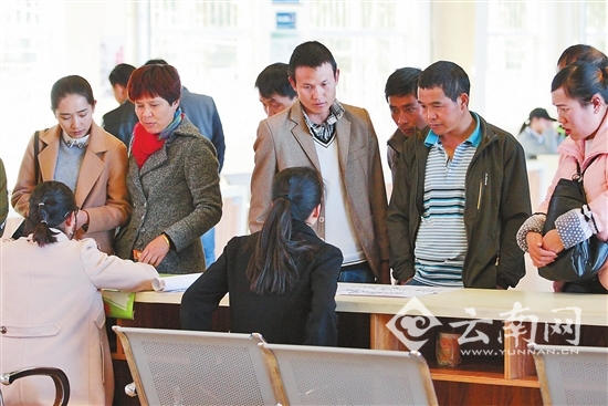 昆明迎来用工招聘季-新华网云南