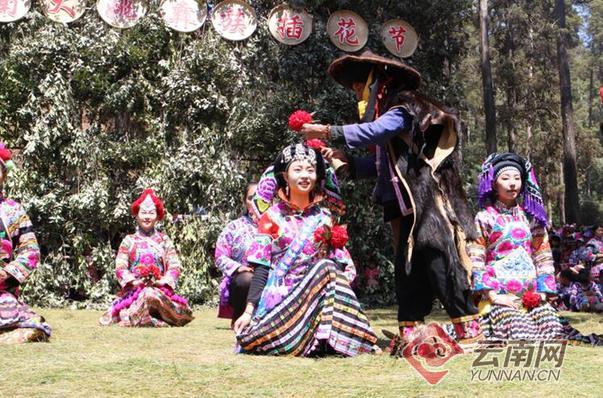 23日至25日,一年一度的云南大姚彝族插花节在大姚县昙华乡举行,当地