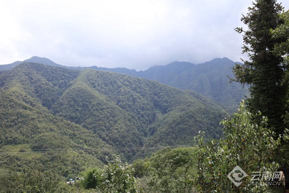 景东县花山镇各村人口_云南省景东县石垭口村(3)