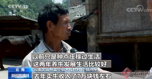 云南代表农宁安:因地制宜兴产业 脱贫攻坚奔小康