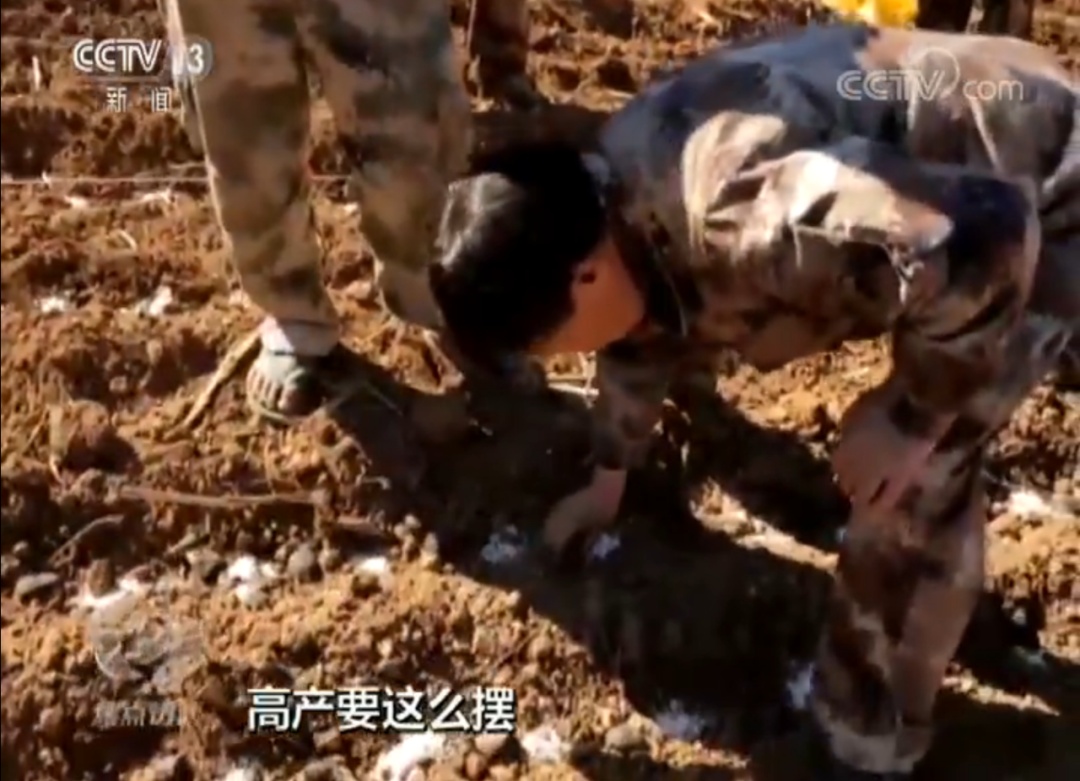 云南蒿枝坝村GDP_云南蒿枝图片(2)