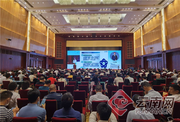 云南滇中新区2020年GDP_云南滇中新区吕永栋(2)