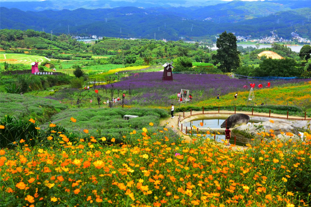 临沧国庆中秋假期乡村旅游成热点 文旅市场安全有序