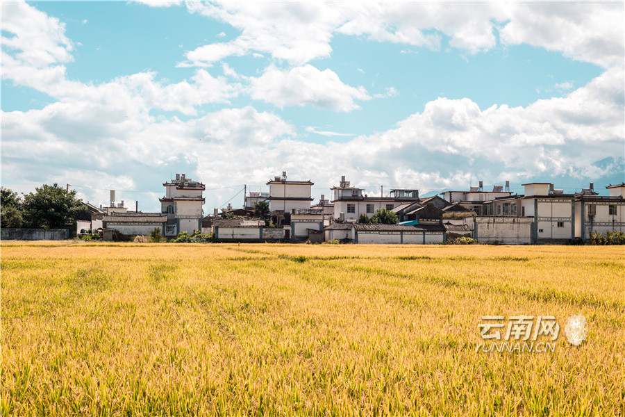 大理2020各县gdp_大理各县地图(3)