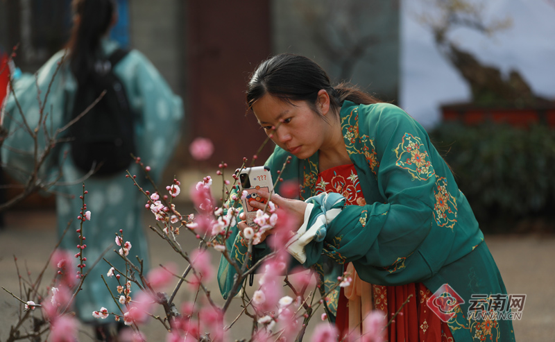 首届梅花汉服文化节开幕.