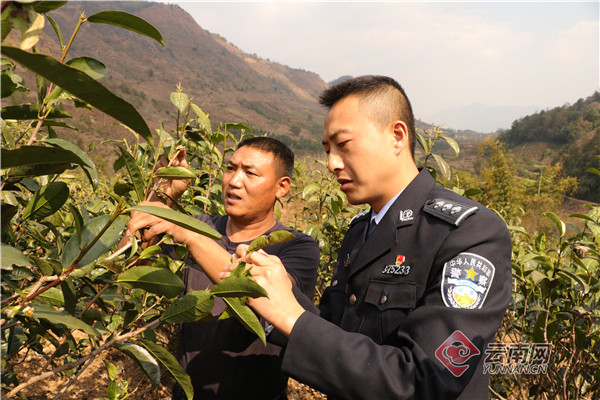 “法治村官”张建国，脱贫路上的安全卫士
