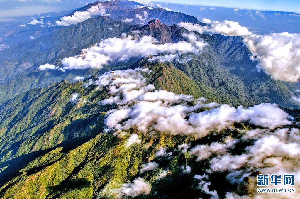 云南保山做好高黎贡山生物多样性保护以绿生金