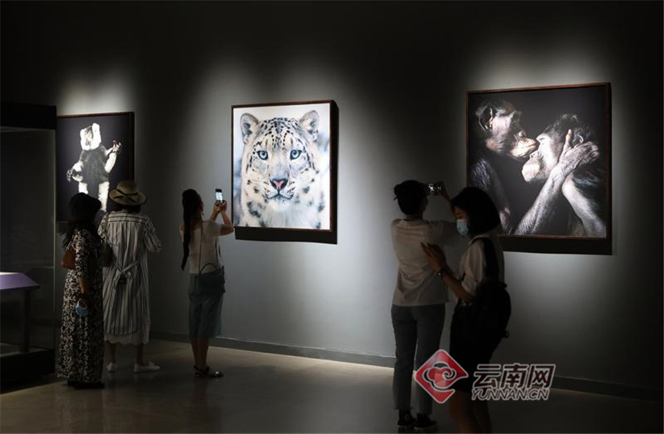 摄影艺术作品展览 00303782537_9227f96f.jpg