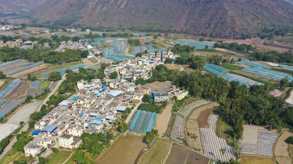 漠沙镇：积极推进城乡绿化美化三年行动 建好美丽乡村
