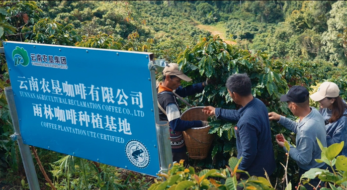 云南农垦集团云南咖啡厂“云啡”项目