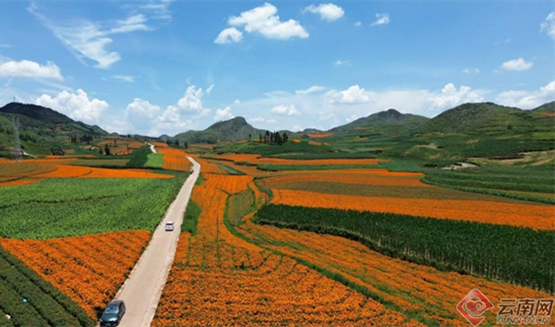 藏在花朵里的生物提取新赛道