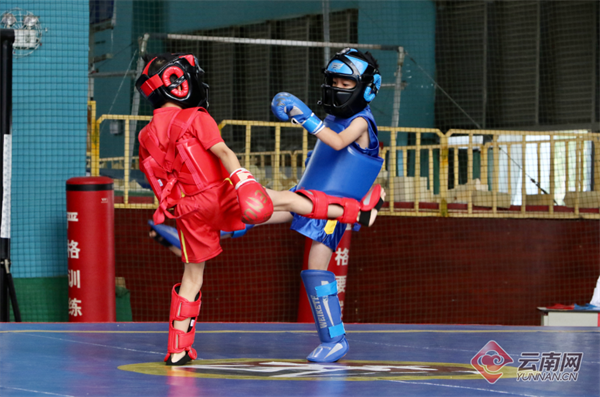 春城“武林”风起2025昆明市中小学生武术散打比赛引少年争锋(图4)