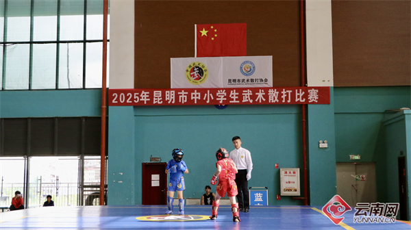 春城“武林”风起2025昆明市中小学生武术散打比赛引少年争锋