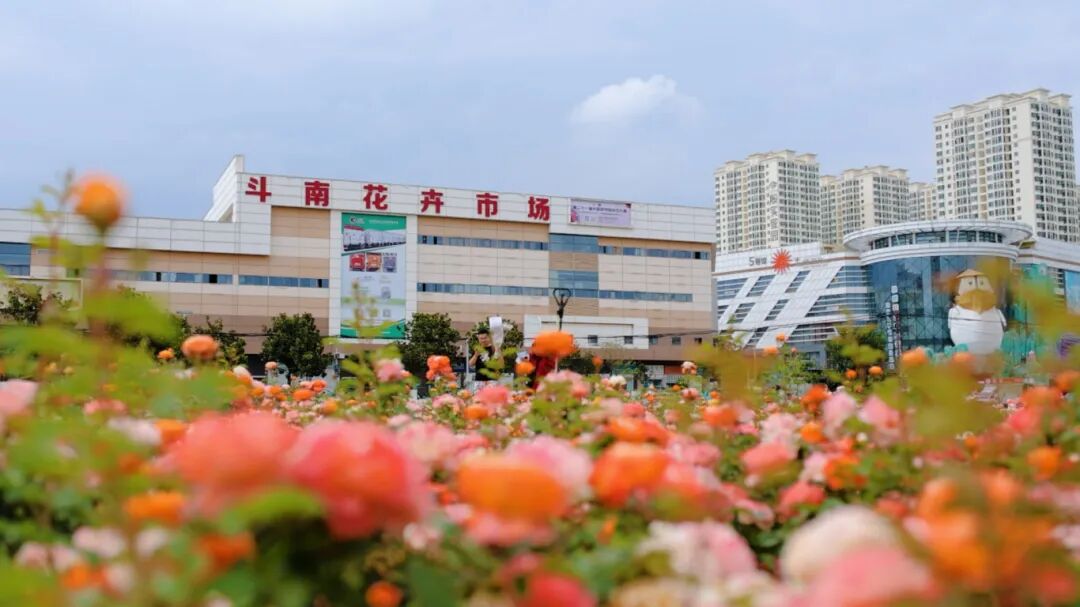 序列 01.00_00_04_20.Still001.jpg