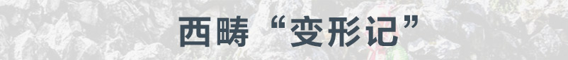 西畴变形记