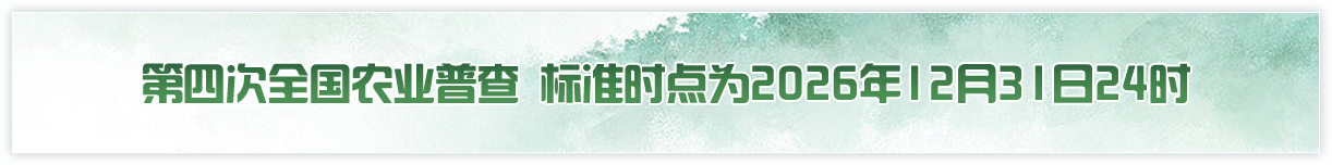 标准时点