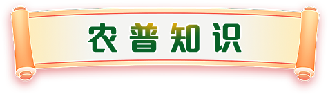 农普知识