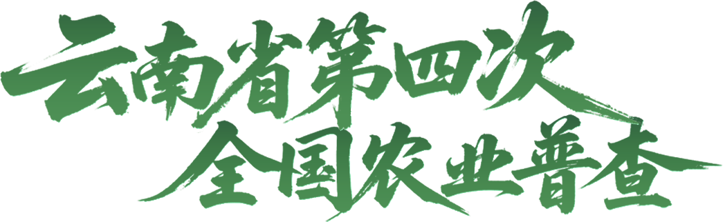 云南省第四次全国农业普查