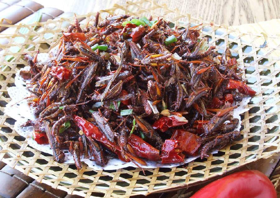 梦幻九香虫展示