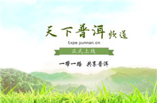 第13届茶博会在普洱召开 云南网“天下普洱”频道同期正式上线