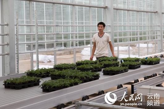 现代化园区 人民网 薛丹 摄