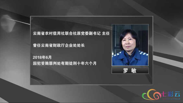 罗敏:权色交易为其权钱交易铺平道路农信社的"三驾马车"本该把企业带