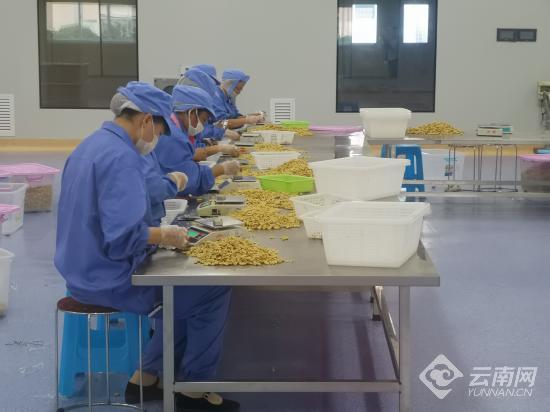商品批发行业的趋势与机遇