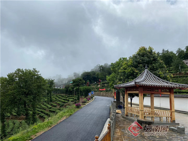 大理南涧县公郎镇罗伯克茶园村茶旅融合一叶致富