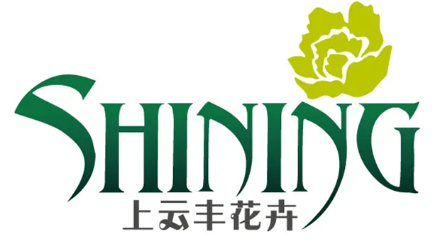 上云丰花卉有限公司