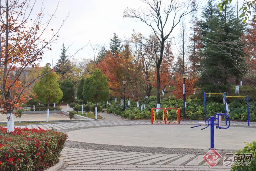 【高清组图】云南马龙区水景公园冬景美如画