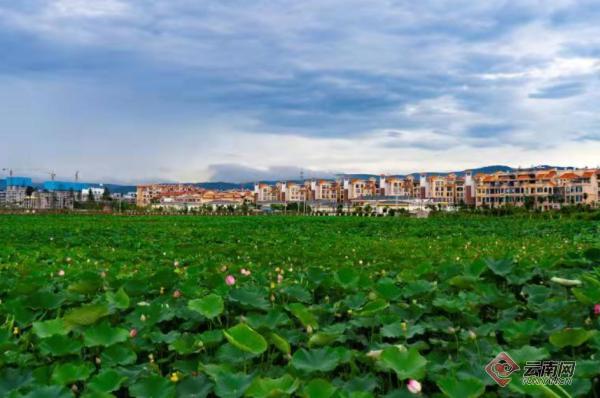 玉溪江川区这里是滇国故里高原水乡