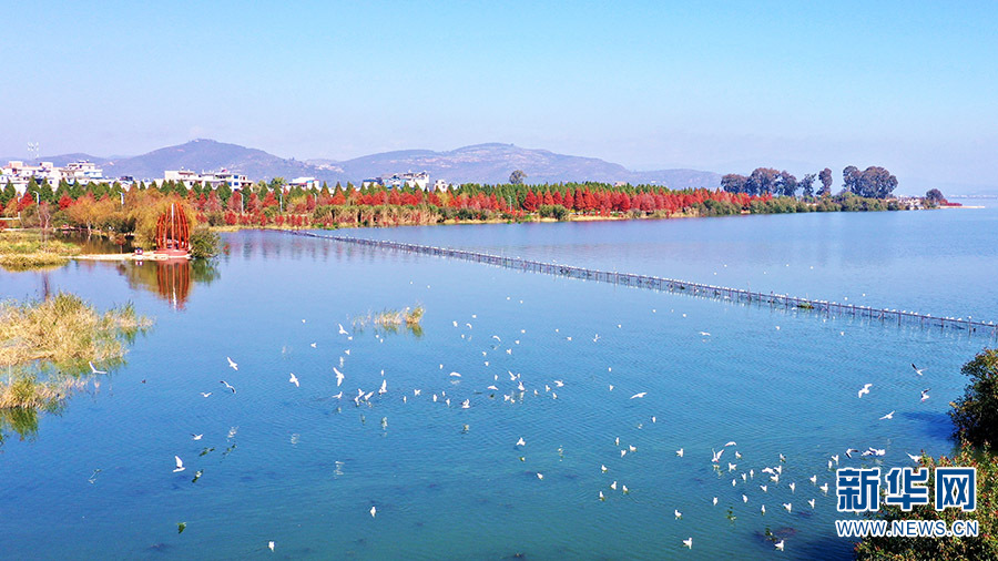 飞阅中国冬日星云湖人鸥同欢乐