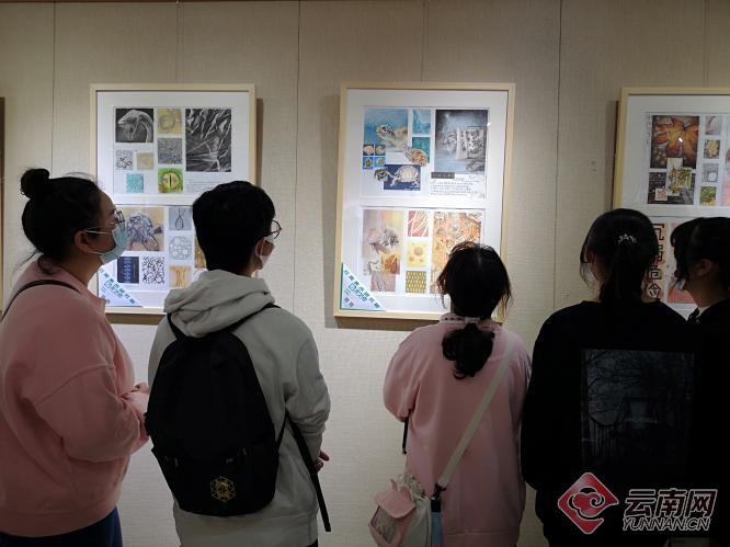 原创绘画作品：记录心灵之声的艺术之旅