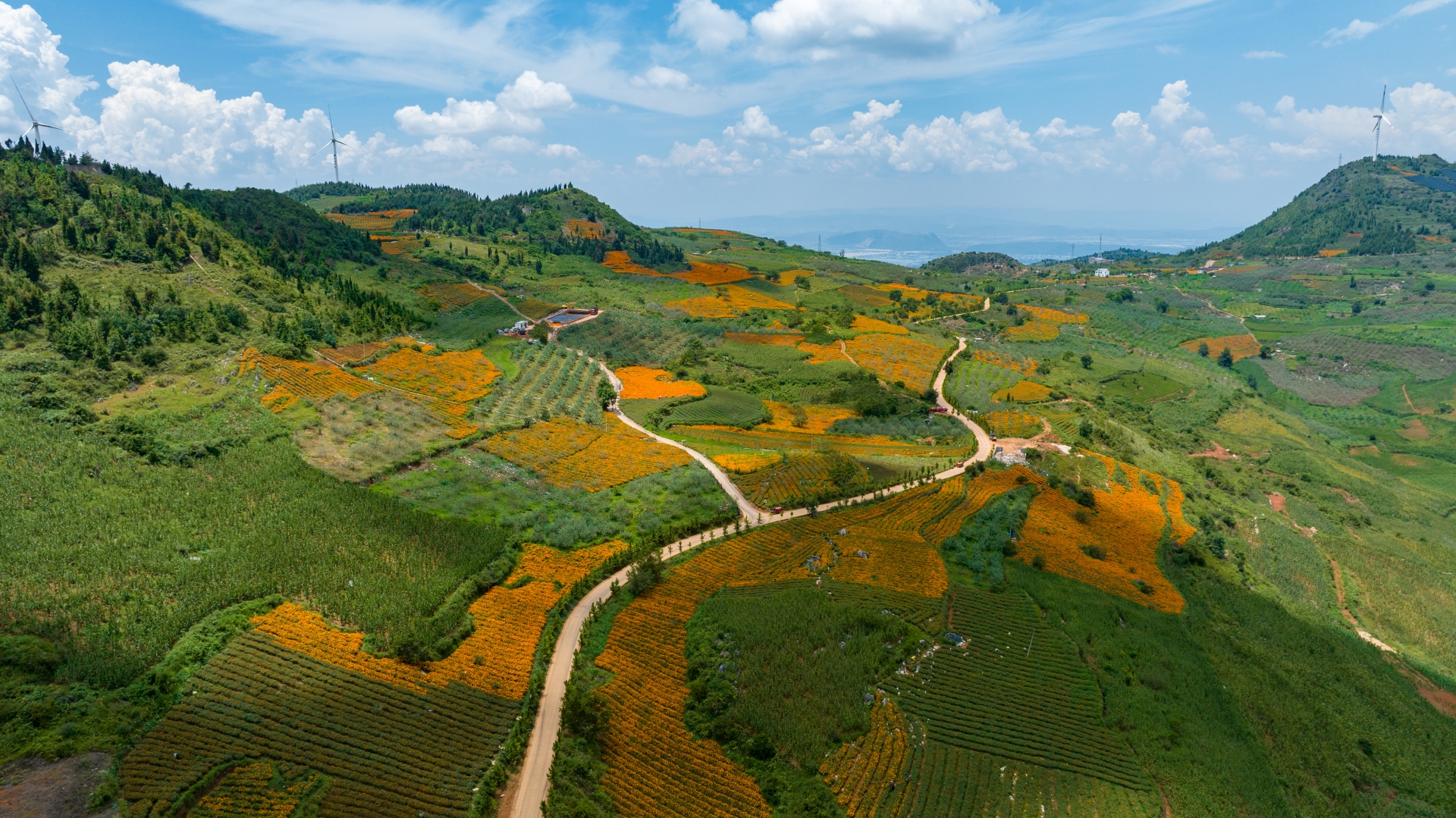 蒙自登高俯瞰秋色美